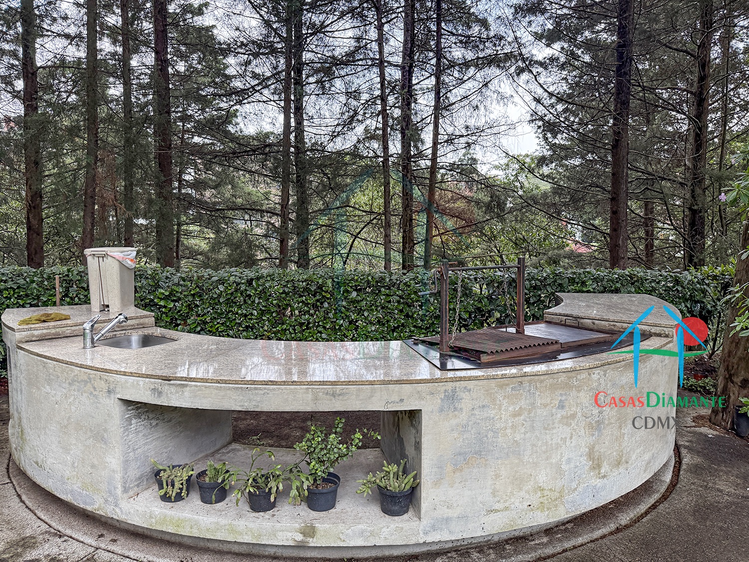 Rancho San Francisco Casa Encino - Jardín 4